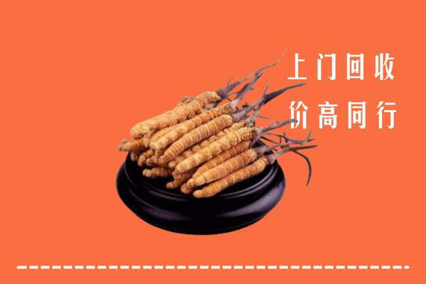 高价求购：诸城市回收散虫草
