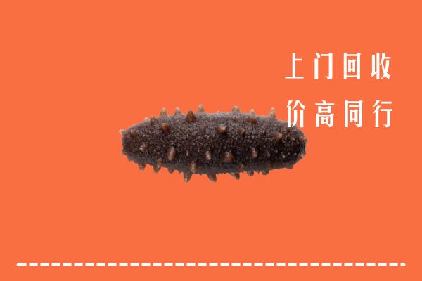 高价求购：诸城市回收海参