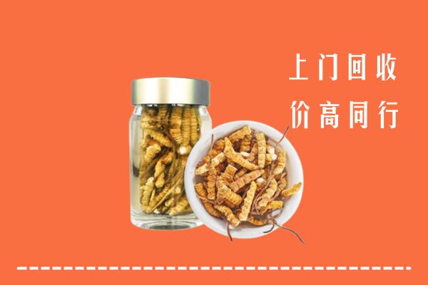 诸城市回收冬虫夏草
